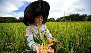 中央密切關(guān)注精準扶貧 易地搬遷進入十三五規(guī)劃