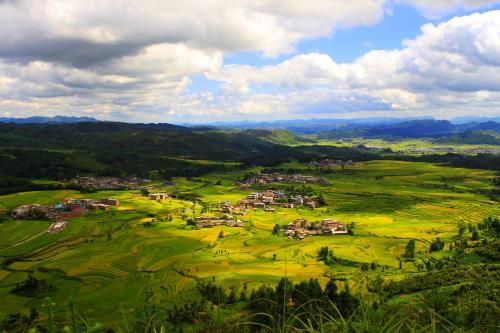 合川區(qū)為“十四五”期間成功創(chuàng)建國(guó)家級(jí)農(nóng)業(yè)科技園區(qū)奠定基礎(chǔ)