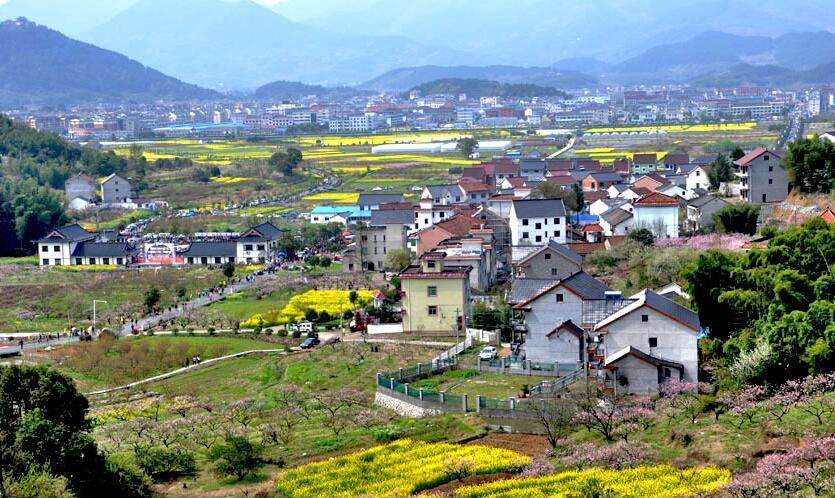 陳文勝：鄉(xiāng)村振興的資本、土地與制度邏輯